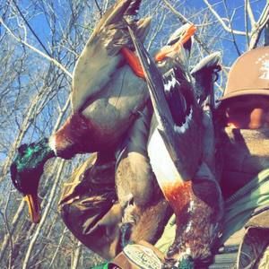 Meet your Posher, Hunter